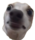 beebmerch
